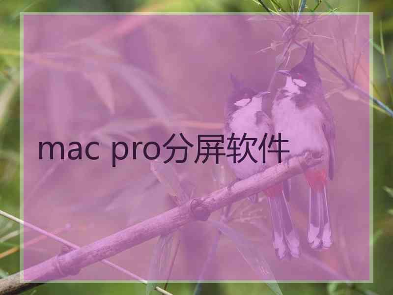 mac pro分屏软件