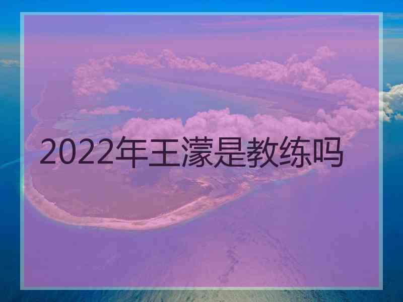 2022年王濛是教练吗