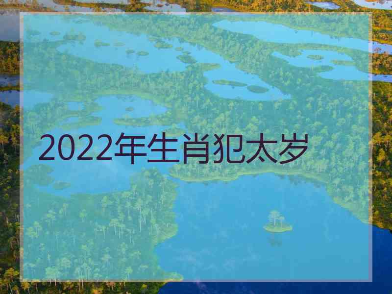 2022年生肖犯太岁