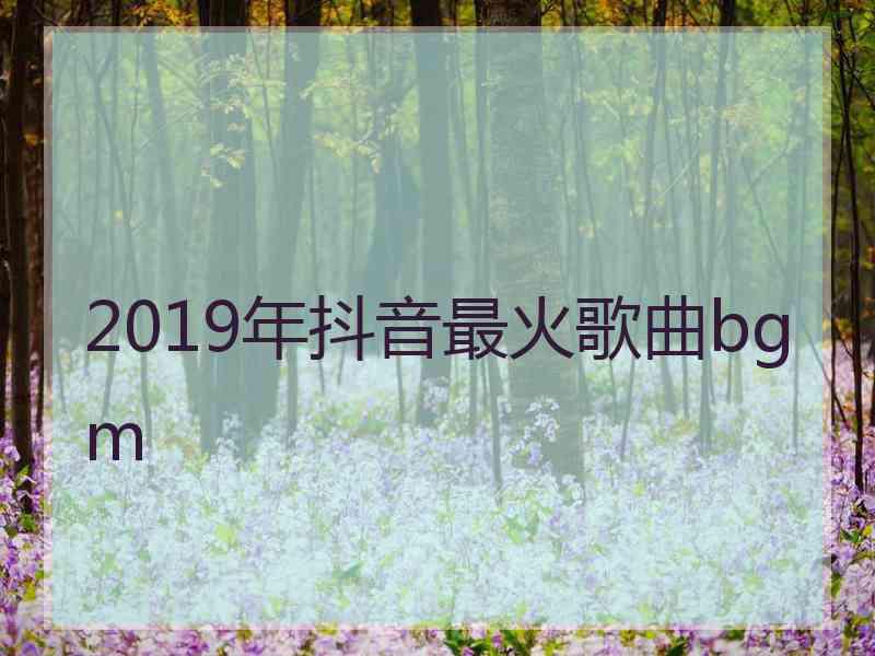 2019年抖音最火歌曲bgm