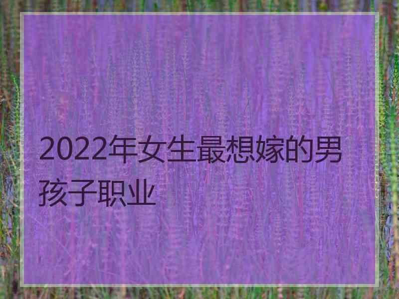 2022年女生最想嫁的男孩子职业