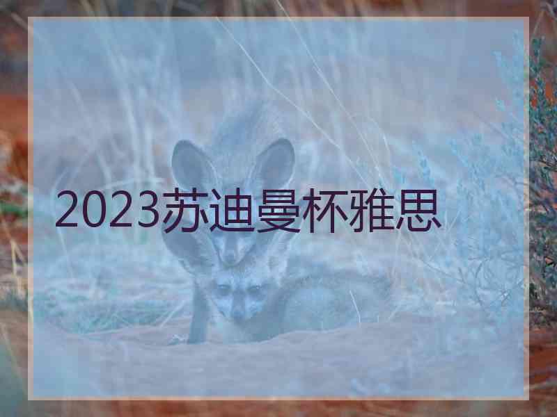 2023苏迪曼杯雅思