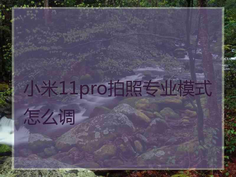 小米11pro拍照专业模式怎么调