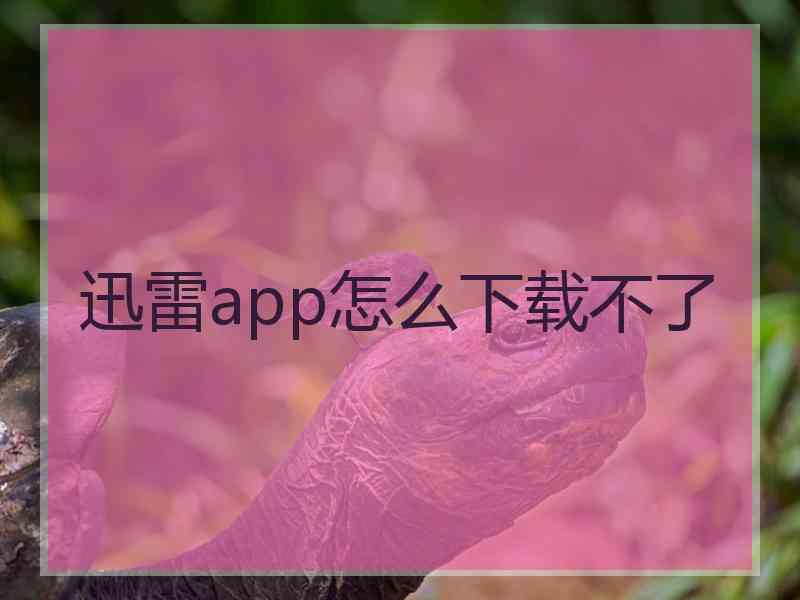 迅雷app怎么下载不了