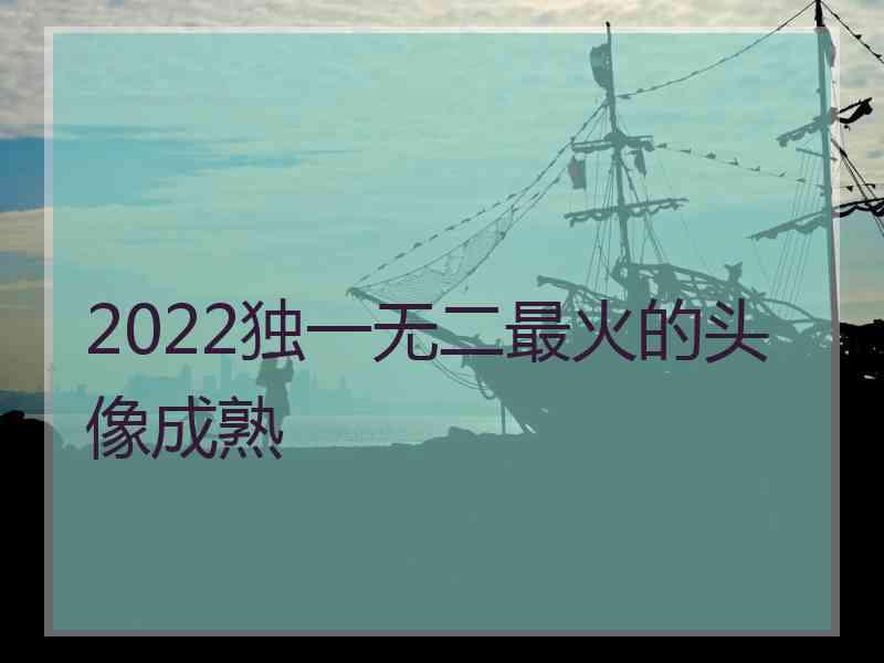 2022独一无二最火的头像成熟