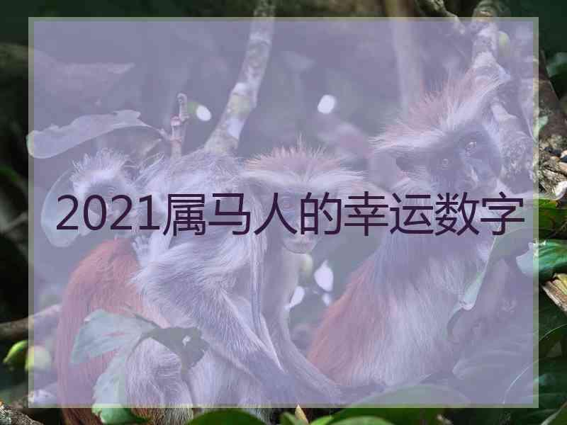 2021属马人的幸运数字