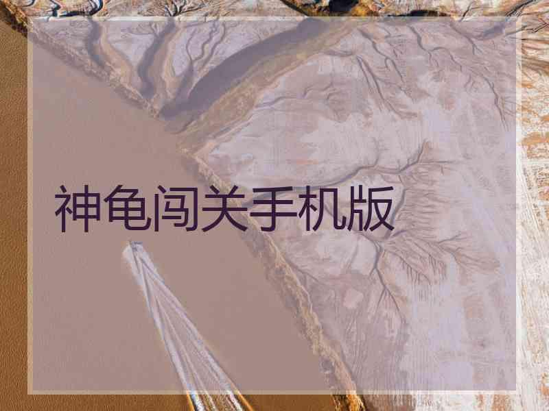 神龟闯关手机版