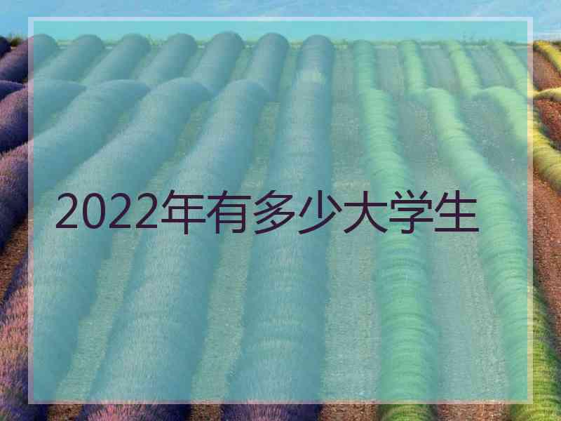 2022年有多少大学生