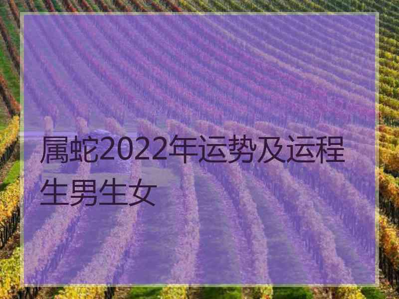 属蛇2022年运势及运程生男生女