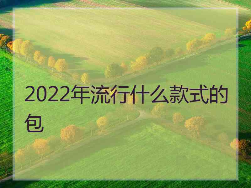 2022年流行什么款式的包