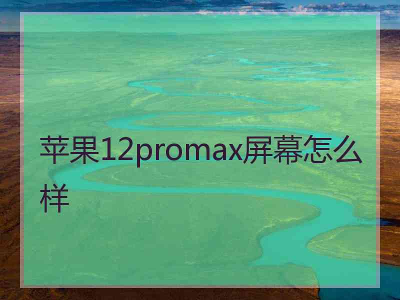 苹果12promax屏幕怎么样