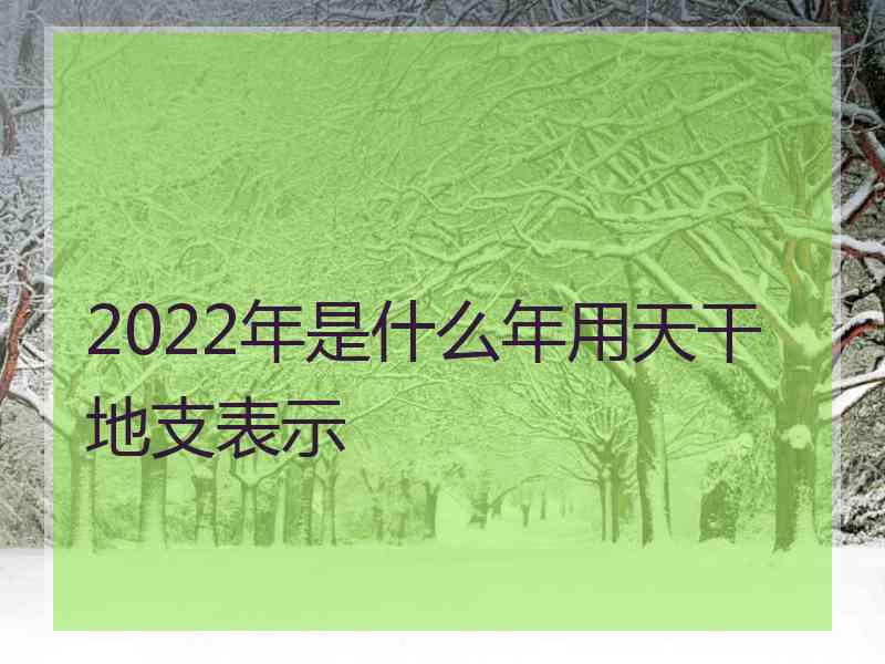 2022年是什么年用天干地支表示