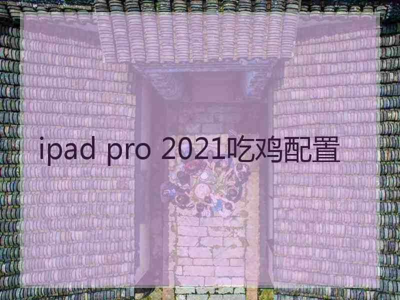 ipad pro 2021吃鸡配置