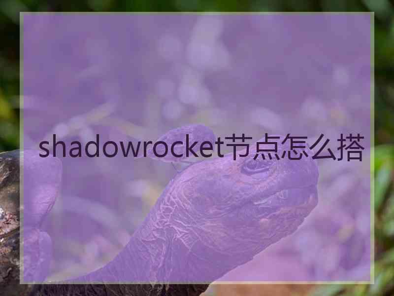 shadowrocket节点怎么搭