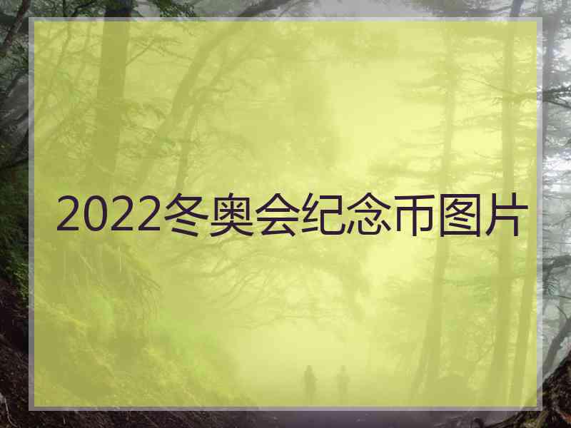 2022冬奥会纪念币图片