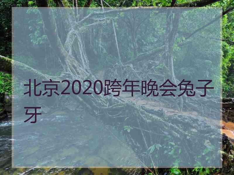 北京2020跨年晚会兔子牙