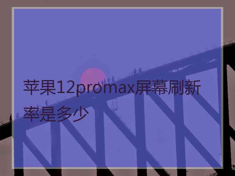 苹果12promax屏幕刷新率是多少