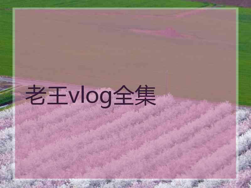 老王vlog全集