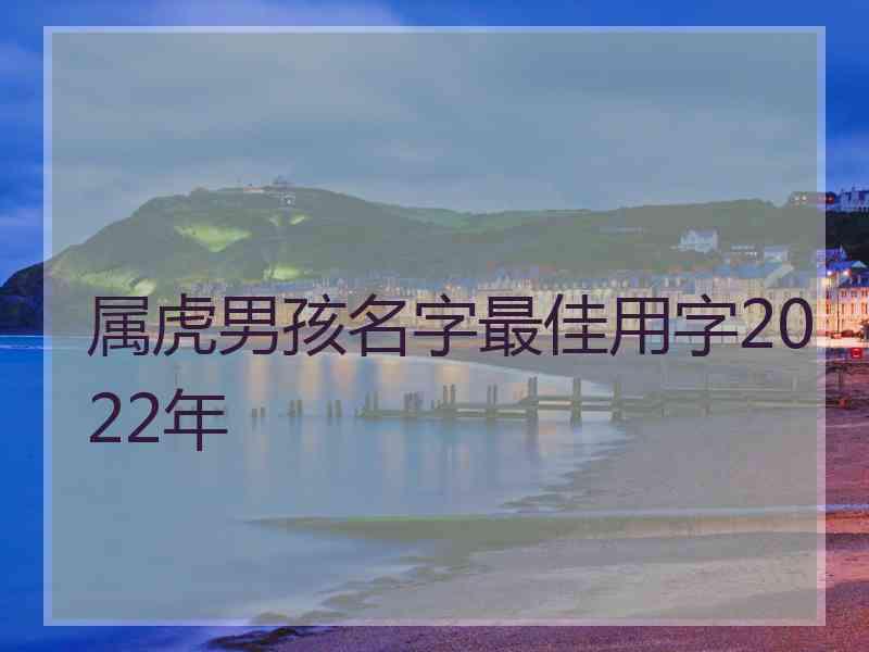 属虎男孩名字最佳用字2022年