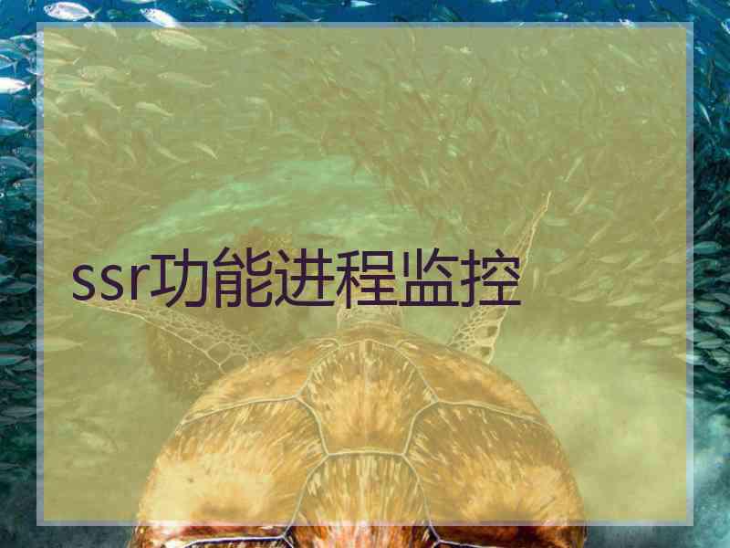 ssr功能进程监控