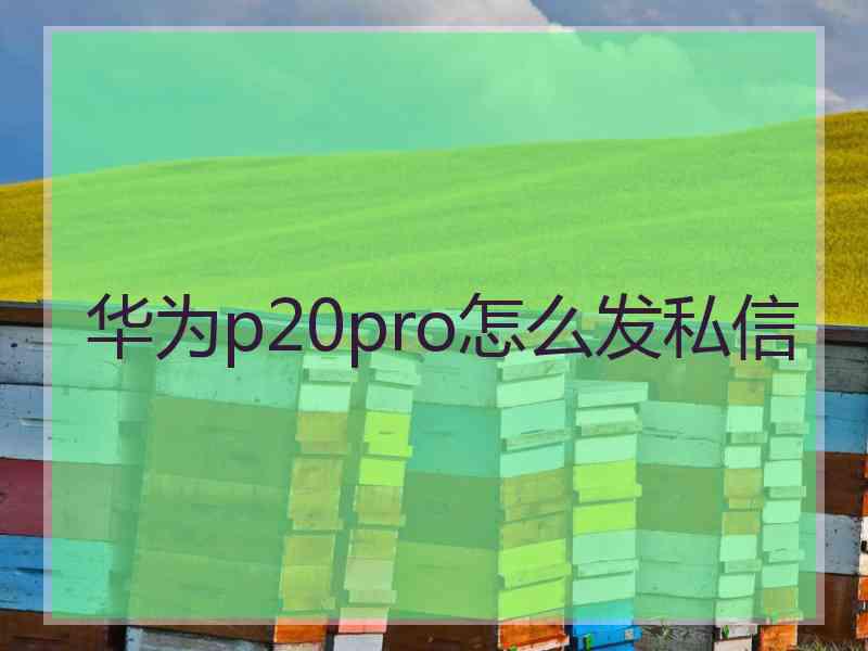 华为p20pro怎么发私信