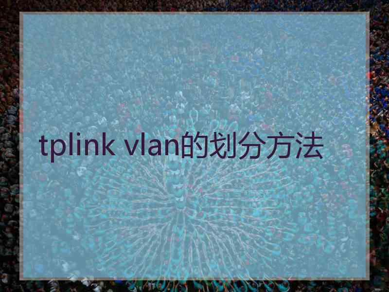 tplink vlan的划分方法