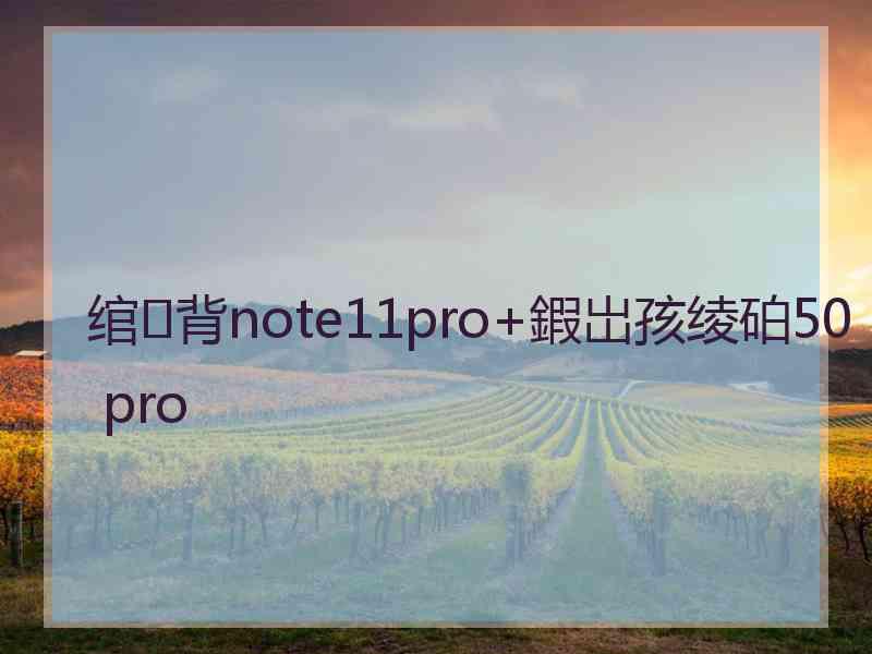 绾㈢背note11pro+鍜岀孩绫砶50 pro