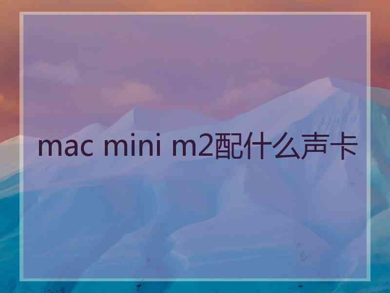 mac mini m2配什么声卡