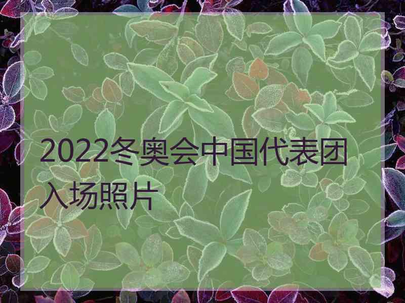 2022冬奥会中国代表团入场照片