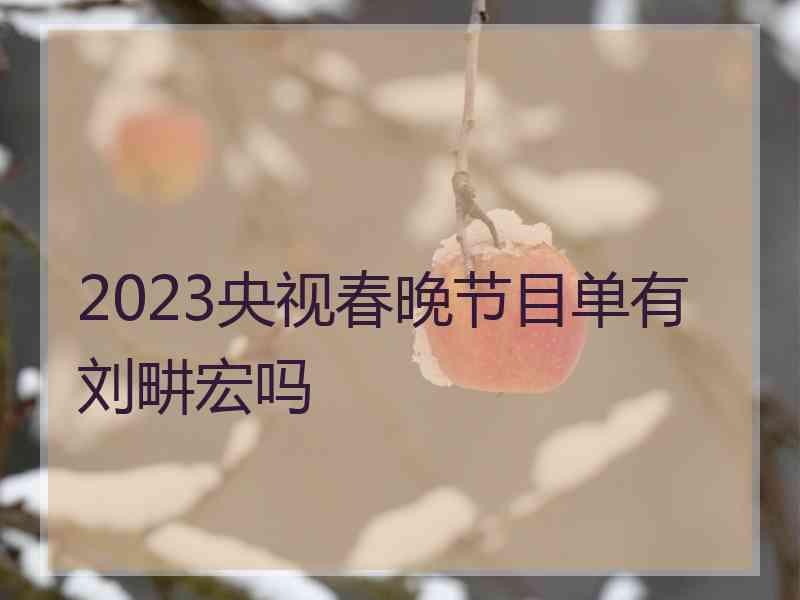 2023央视春晚节目单有刘畊宏吗