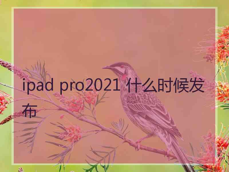 ipad pro2021 什么时候发布