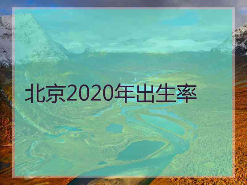 北京2020年出生率