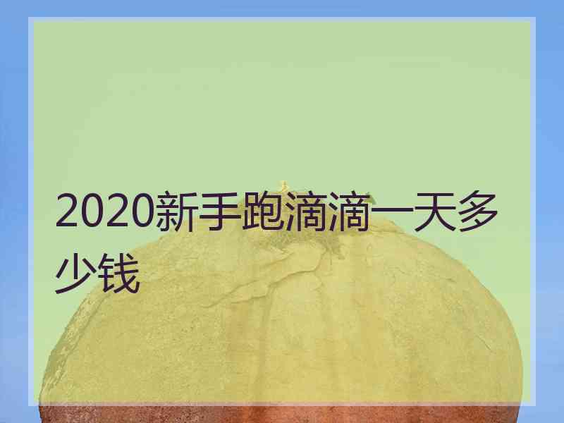 2020新手跑滴滴一天多少钱