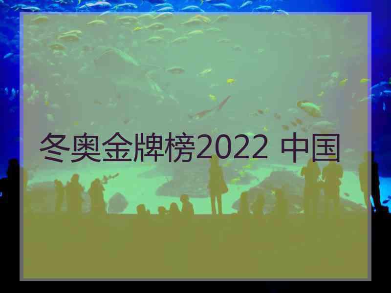 冬奥金牌榜2022 中国