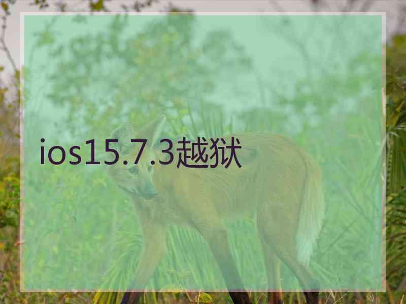 ios15.7.3越狱