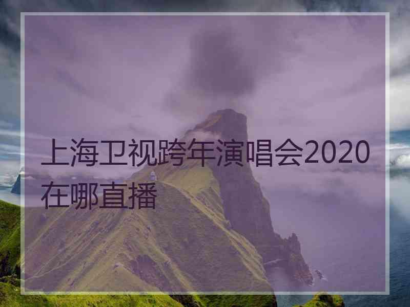 上海卫视跨年演唱会2020在哪直播