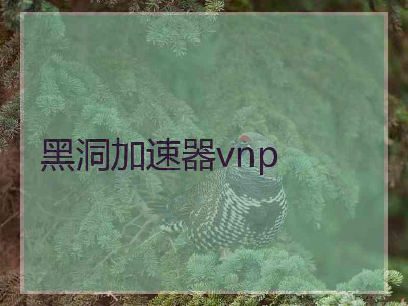 黑洞加速器vnp