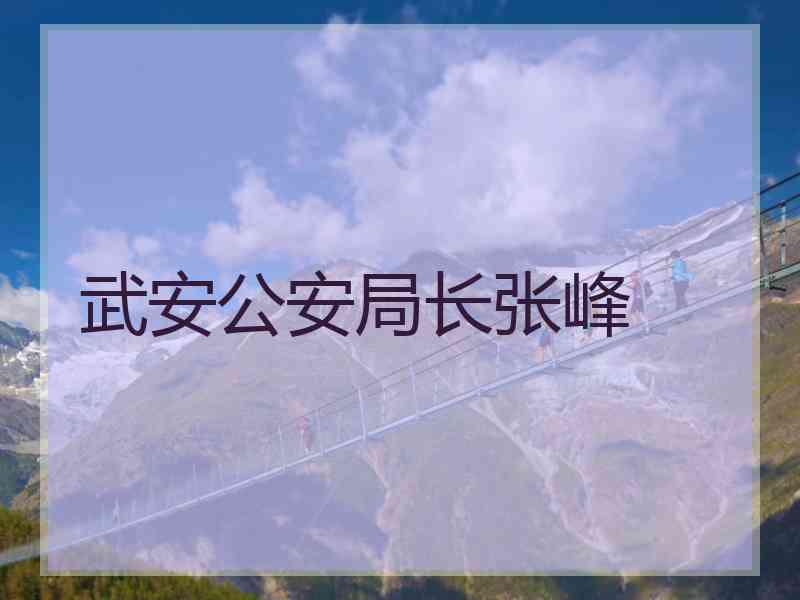 武安公安局长张峰