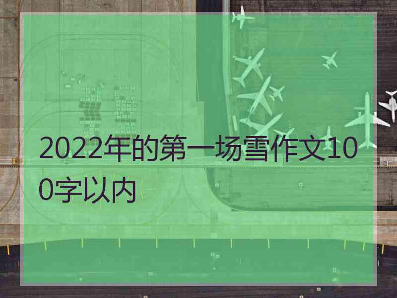 2022年的第一场雪作文100字以内