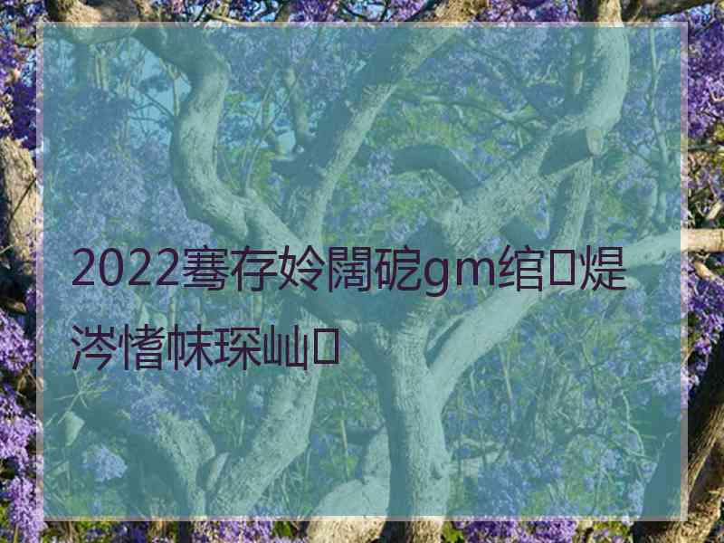 2022骞存姈闊砨gm绾煶涔愭帓琛屾