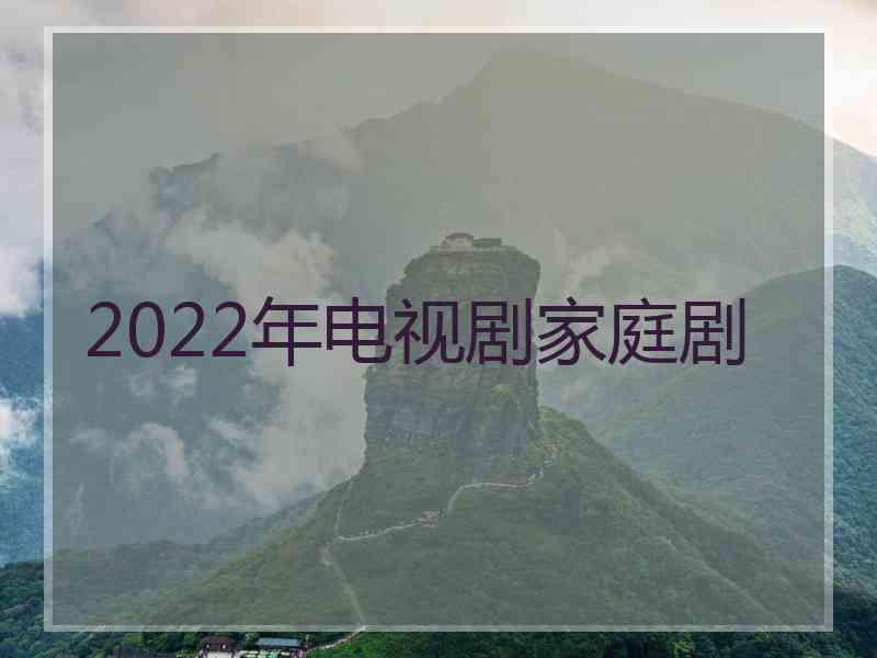 2022年电视剧家庭剧