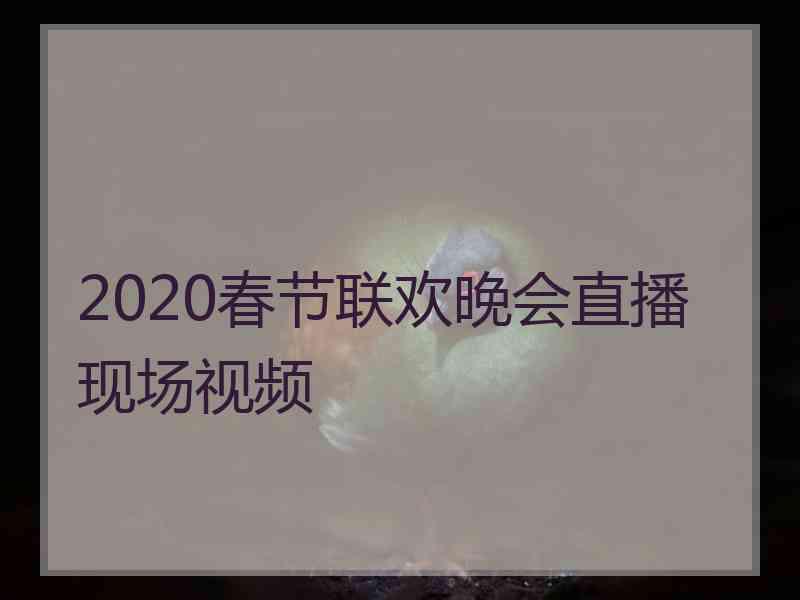 2020春节联欢晚会直播现场视频