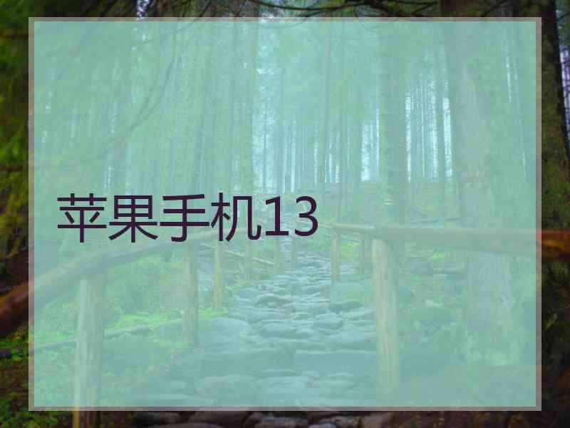 苹果手机13