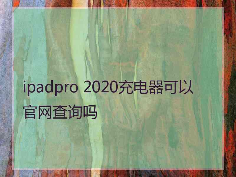 ipadpro 2020充电器可以官网查询吗