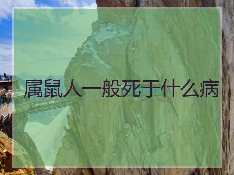 属鼠人一般死于什么病