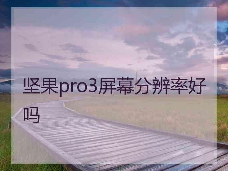 坚果pro3屏幕分辨率好吗