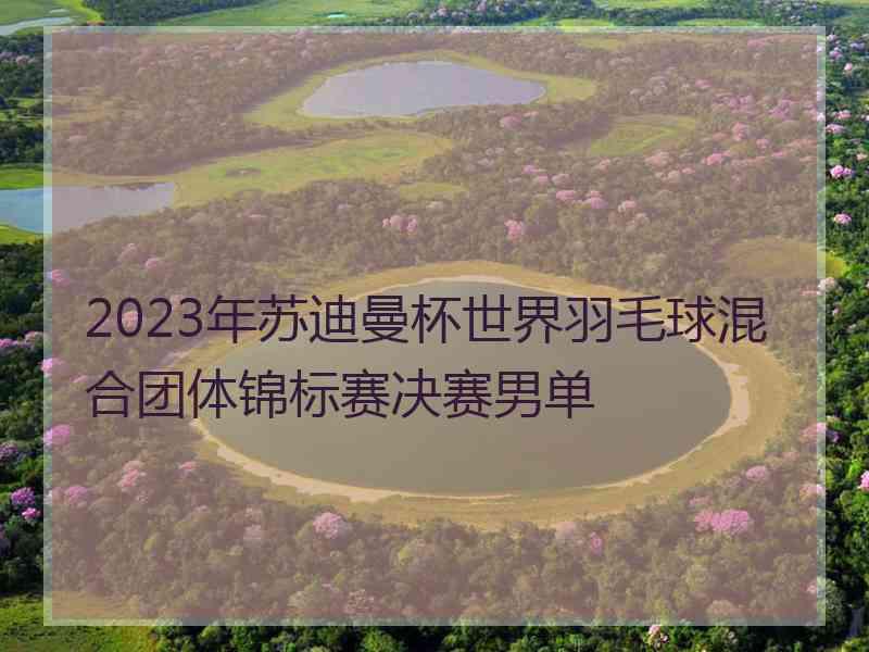 2023年苏迪曼杯世界羽毛球混合团体锦标赛决赛男单