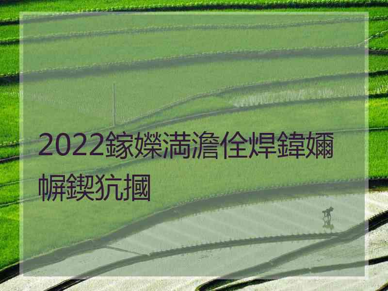 2022鎵嬫満澹佺焊鍏嬭幈鍥犺摑