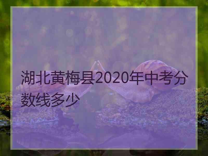 湖北黄梅县2020年中考分数线多少