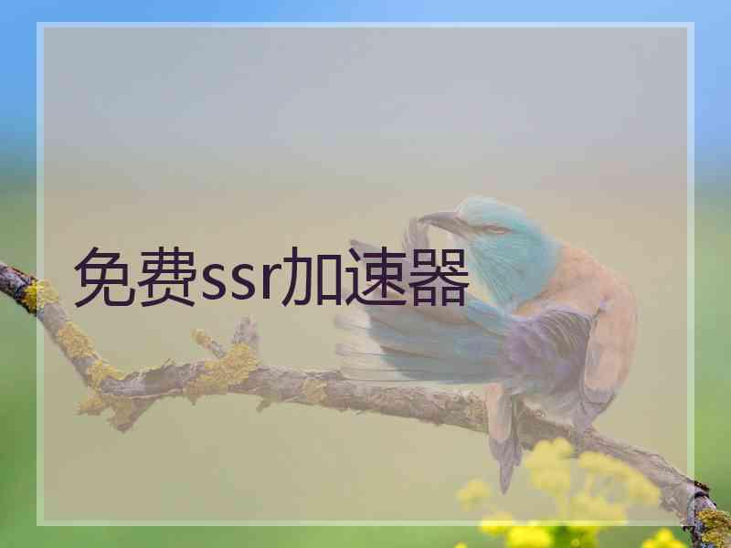 免费ssr加速器